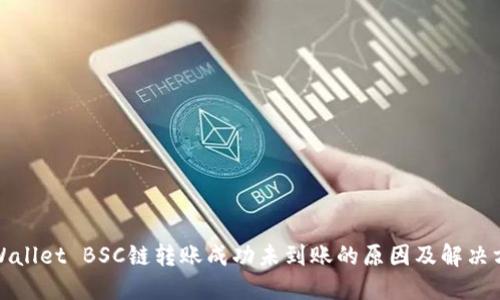 TPWallet BSC链转账成功未到账的原因及解决方案
