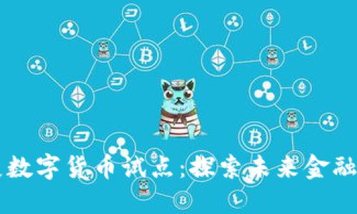 高校开展数字货币试点：探索未来金融的新路径