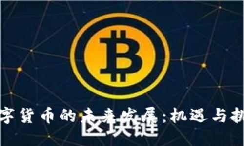 数字货币的未来发展：机遇与挑战